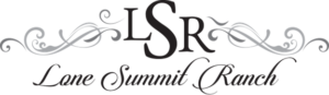 Lee’s Summit event space