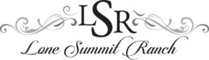 Lees Summit Barn Venues